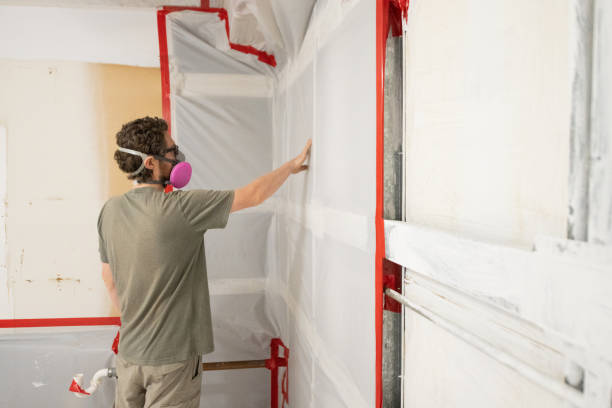 Best Mold Removal for HVAC Installations  in Bee Cave, TX