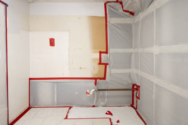 Best Emergency Mold Remediation  in Bee Cave, TX