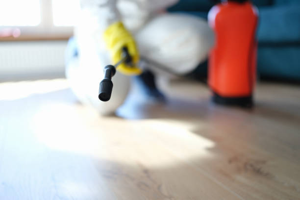 Best Air Quality Testing for Mold Spores  in Bee Cave, TX
