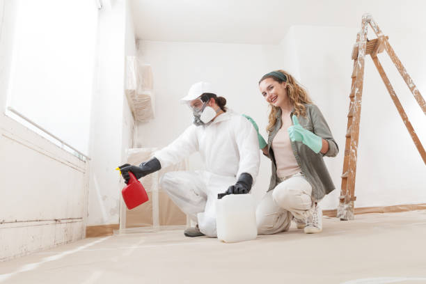 Bee Cave, TX Mold Removal Company