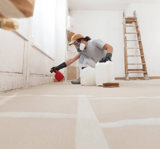 Mold Remediation for Vacation Homes in Bee Cave, TX