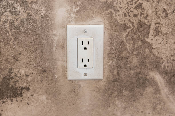 Best Post-Construction Mold Inspection  in Bee Cave, TX