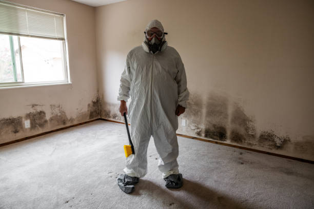 Best Mold Remediation for Healthcare Facilities  in Bee Cave, TX